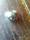 Magic ring 💍💍{+27634002579}💍💍,Magic wallet,Magic calabash,Magic stick for wealth,protection spells,witchcraft protection,pastors miracle Lesotho,Swaziland,Zambi­a,Zimbabwe,Mali,Congo,Johannesburg,Kenya,Cape town
