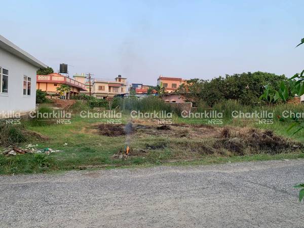 Land For Sale 30 dhurr West Face 55 feet mohda pichad 74 in Annapurna Tole, Bhairahawa