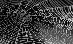 [+27] 63 4oo2579 Psychic Healing Jamaica,Voodoo Death Spell Caster Bahamas,Voodoo Love Spells Uk,Voodoo Revenge Spells Seychelles,Black Magic Spells Uae 🇦🇪