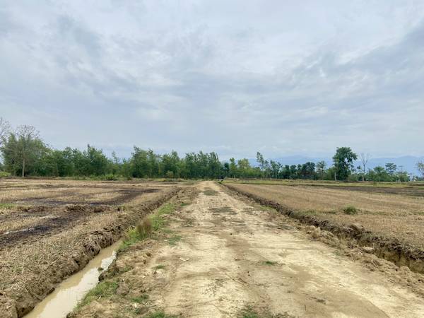 10 Kattha Land for Sale in Devdaha-1 Pragatinagar Near Shankarpur Bazaar