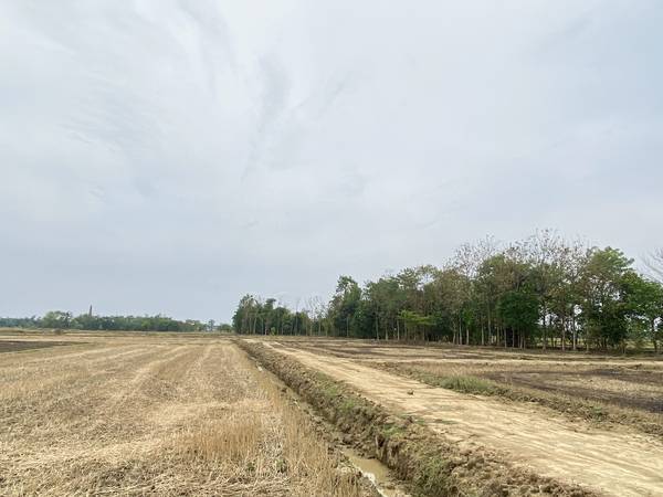 10 Kattha Land for Sale in Devdaha-1 Pragatinagar Near Shankarpur Bazaar