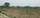 Land on sale