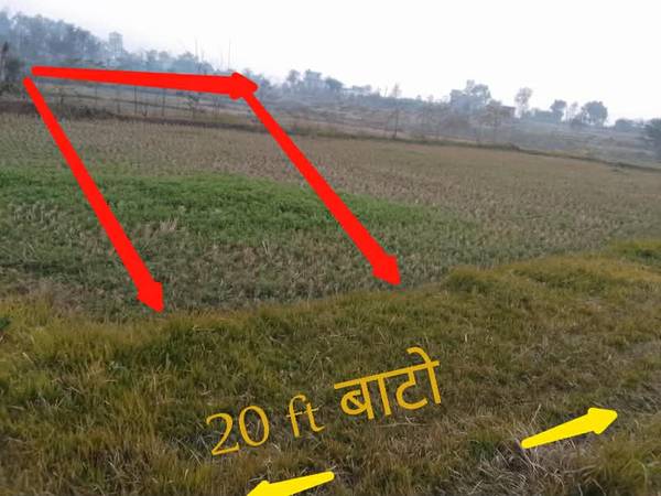 8 Kattha Land for Sale Near Sutetal Gauri Dada, Basgadi