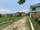 Land sale at drivertole bhetgat Family restaurent
