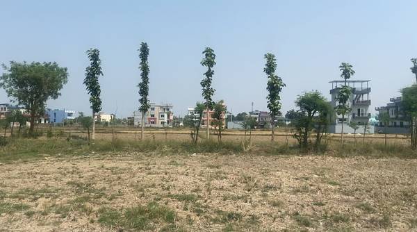 East Faced Land available for sale at Mangalapur Tilottama