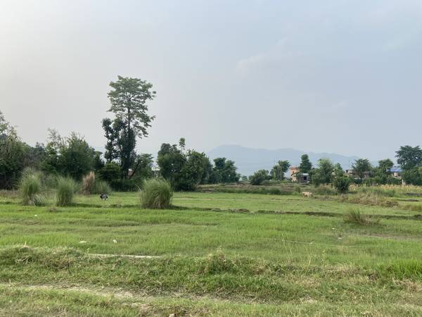 Land sale at Ujelapur Butwal