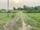 Land sale at Ujelapur Butwal