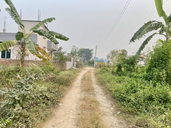 10 Dhur Land for Sale in Tilottama Rupandehi | Driver Tole, Kesar Marg | 20×40 Haath | NPR 45 Lakh