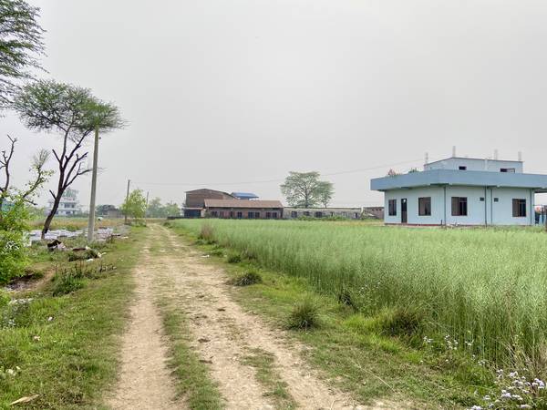 Land for Sale in Sainamaina-5, Baksad Dadha, Near Paschim Parroha School