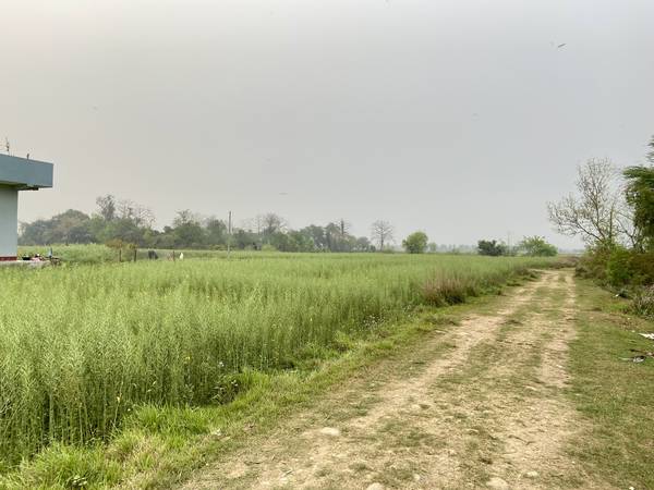 Land for Sale in Sainamaina-5, Baksad Dadha, Near Paschim Parroha School