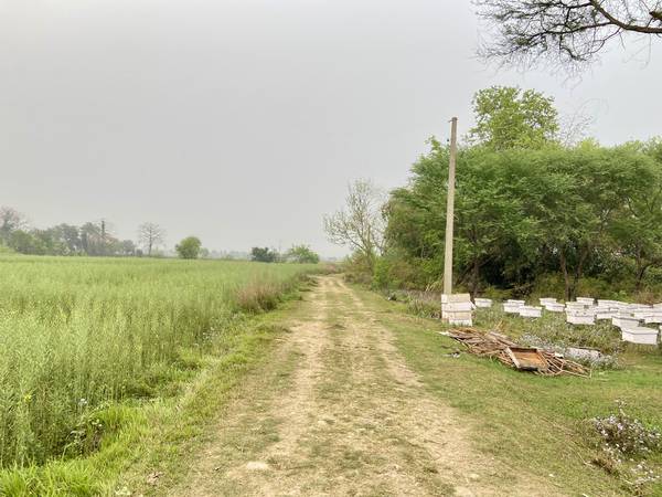 Land for Sale in Sainamaina-5, Baksad Dadha, Near Paschim Parroha School
