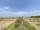 Tilottama Semara Land for Sale or Exchange – 10 Dhur East-Facing Plot