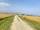 Prime 3.5 Bigha Land for Sale near the Sikara Viral Tree – Ideal for Industry, Factory & Plotting