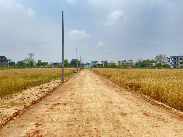 Land for Sale in Tilottama Manigram – Prime Residential & Commercial Plots Near Siddhartha Highway