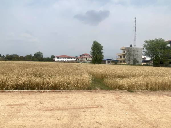 Land for Sale in Tilottama Manigram – Prime Residential & Commercial Plots Near Siddhartha Highway