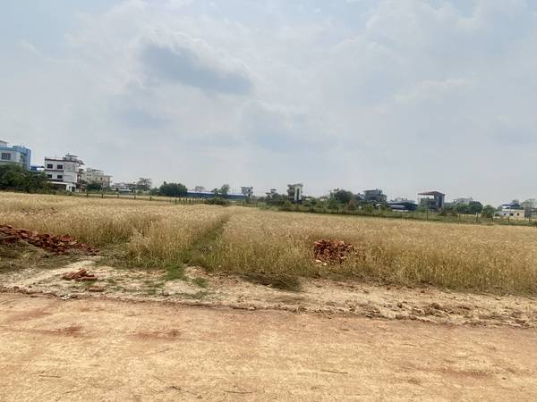 Land for Sale in Tilottama Manigram – Prime Residential & Commercial Plots Near Siddhartha Highway