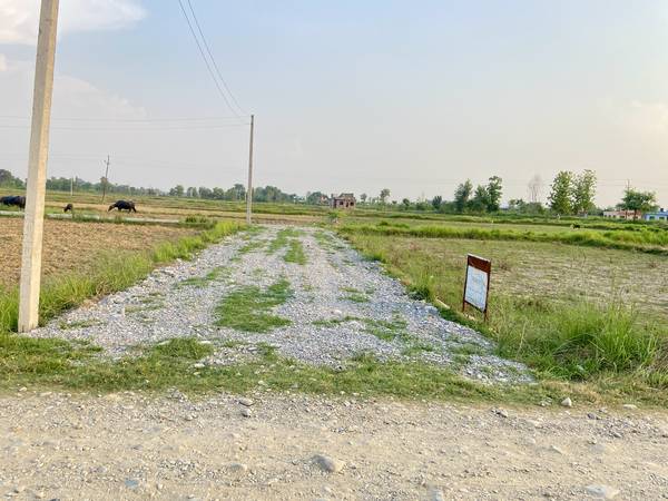 Plots for sale near purano sadak, Bhalwari, Tilottama.
