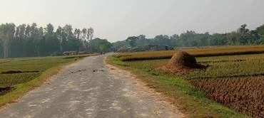 Land For Sale At Siyari-3 Harnaiya Rupandehi