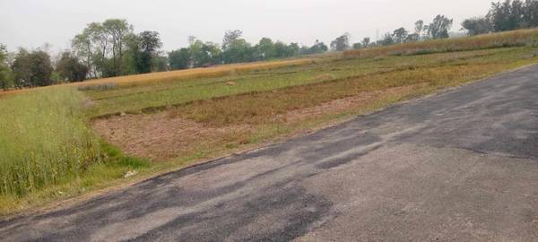 Land for sale at Siyari-3 Harnaiya Rupandehi