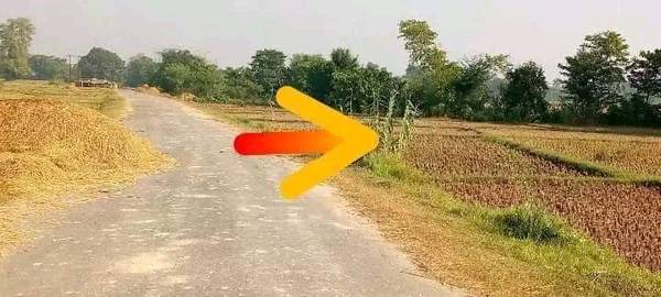 Land for sale at Siyari-3 Harnaiya Rupandehi