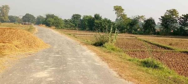 Land for sale at Siyari-3 Harnaiya Rupandehi